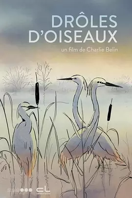 欧美xxx在线观看