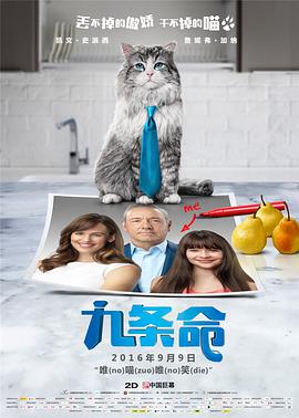 91精品久久