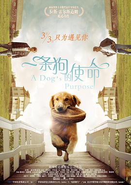 亚洲福利一区二区精品秒拍
