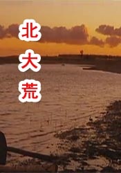 国产欧美在线