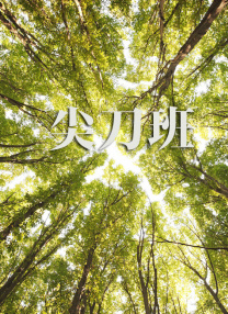 午夜三级av
