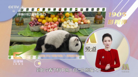 永久视频网站